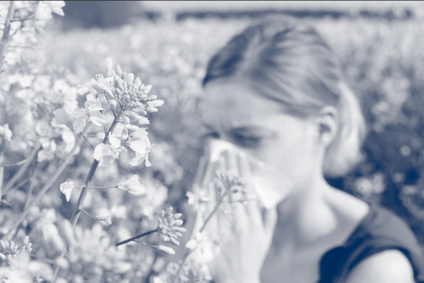 INFLAMACIÓN, ALERGIAS E INMUNIDAD