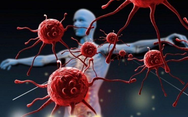 Salud Digestiva e Inmunidad