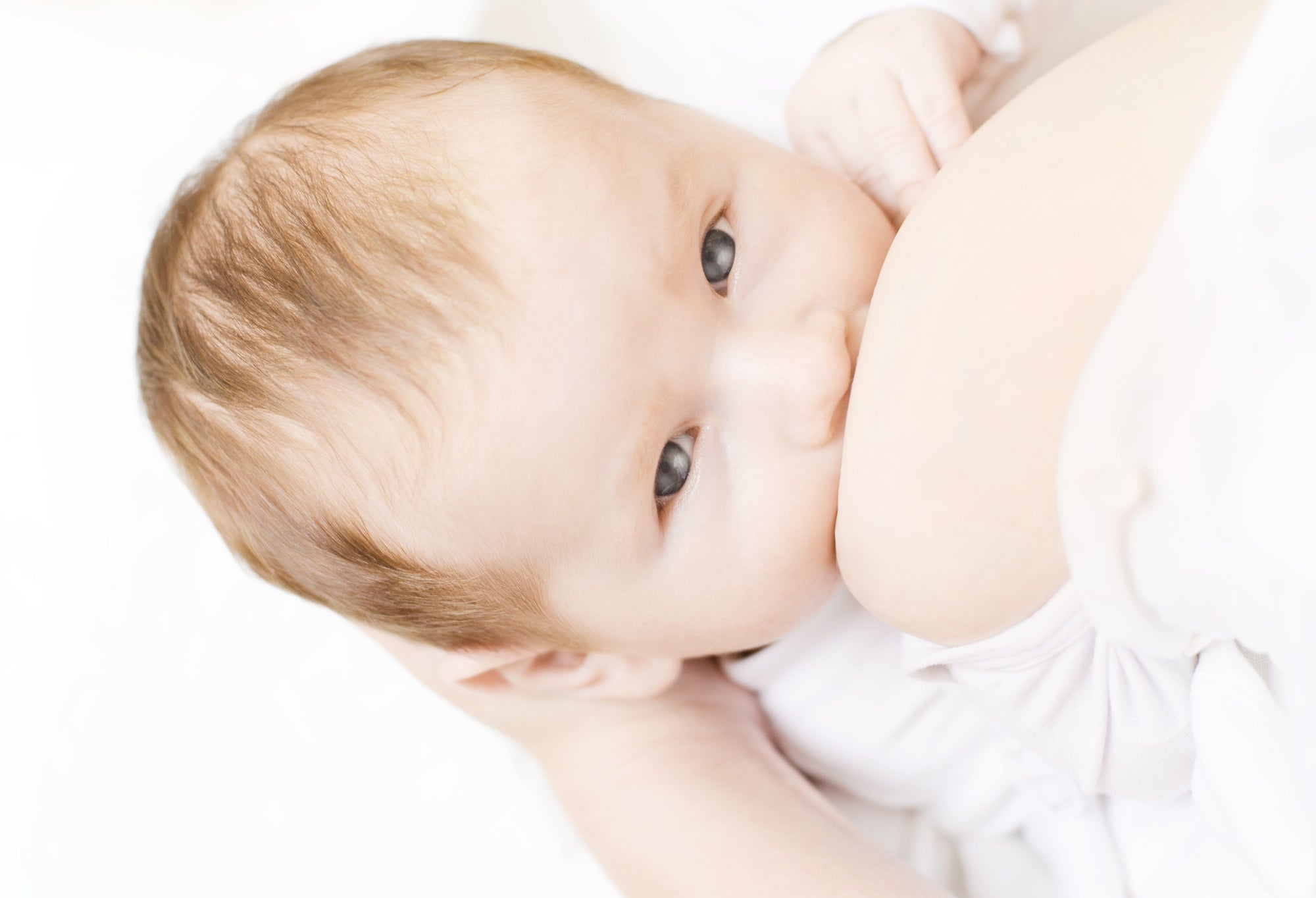 ¿CÓMO APOYAR LA SALUD INTESTINAL DE TU BEBÉ CON PROBIÓTICOS?