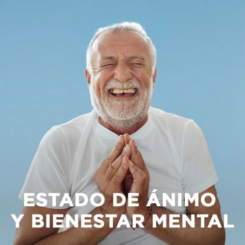 Estado de Animo y Bienestar Mental